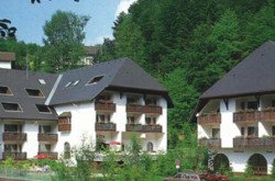 Berghotel „Tannenhof-Schwarzwaldblick“, bei der weltgrößten Kuckucksuhr Triberg